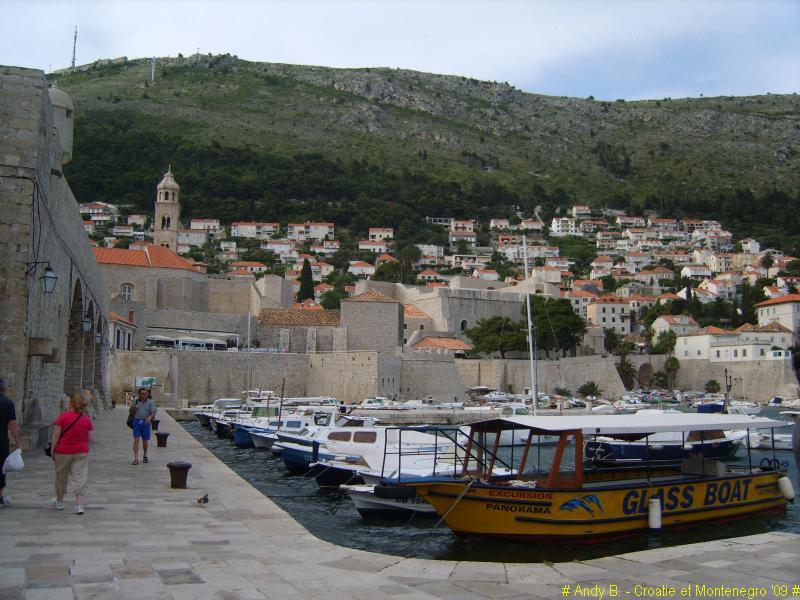 Dubrovnik ville (65).JPG